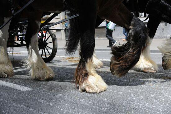 Fiesta de los Tres Tombs de Sant Antoni